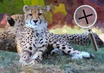 Dieren  sneltekenaar karikaturist canvas digitale kunst