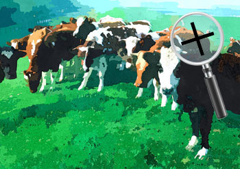 Dieren  sneltekenaar karikaturist canvas digitale kunst