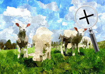 Dieren  sneltekenaar karikaturist canvas digitale kunst