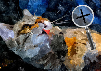 Dieren  sneltekenaar karikaturist canvas digitale kunst