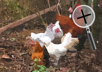 Dieren  sneltekenaar karikaturist canvas digitale kunst