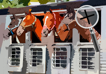 Dieren  sneltekenaar karikaturist canvas digitale kunst