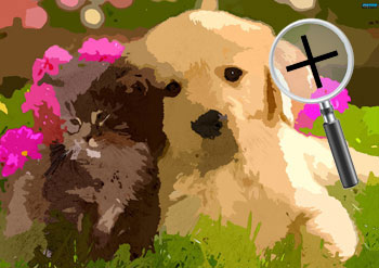 Dieren  sneltekenaar karikaturist canvas digitale kunst