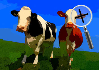 Dieren  sneltekenaar karikaturist canvas digitale kunst