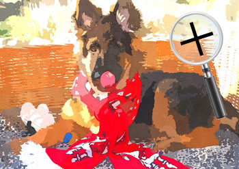 Dieren  sneltekenaar karikaturist canvas digitale kunst