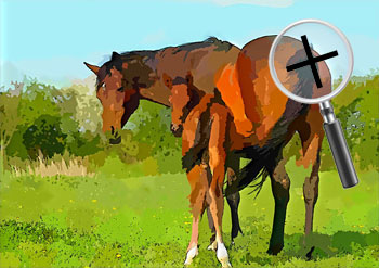 Dieren  sneltekenaar karikaturist canvas digitale kunst