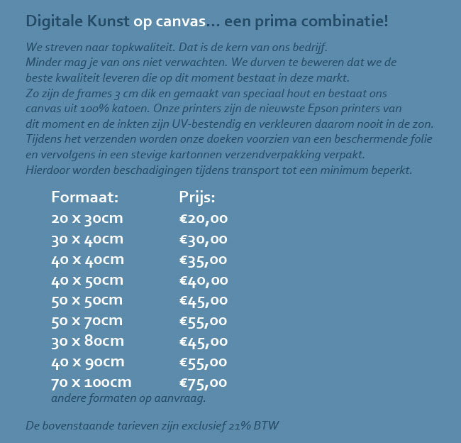 TARIEF CANVAS sneltekenaar karikaturist