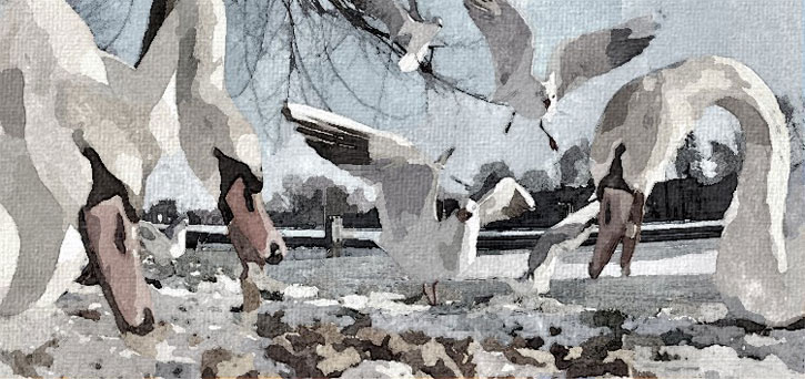 STIJLEN sneltekenaar karikaturist CANVAS