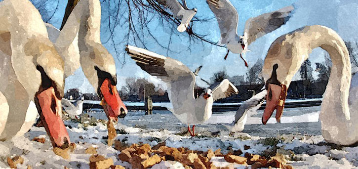 STIJLEN sneltekenaar karikaturist CANVAS
