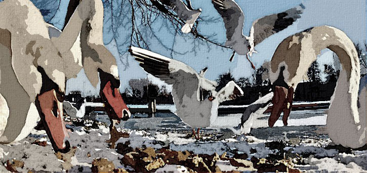 STIJLEN sneltekenaar karikaturist CANVAS
